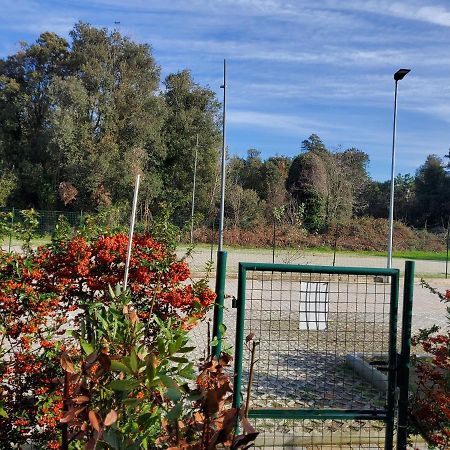 Appartamento 9 Residance Piviere Calambrone Extérieur photo