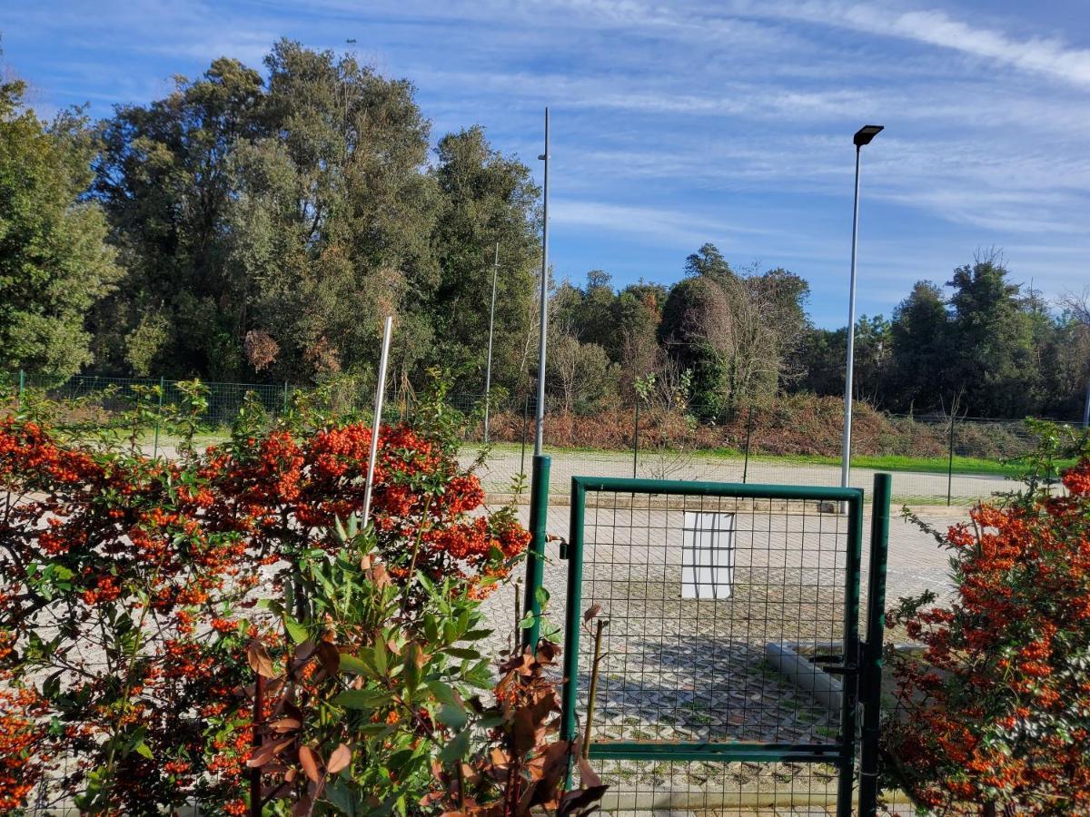 Appartamento 9 Residance Piviere Calambrone Extérieur photo